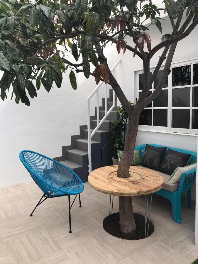 Vila Casa Guadalupe Y Roque Santa Cruz de Tenerife Exteriér fotografie